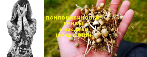 первитин Зеленодольск