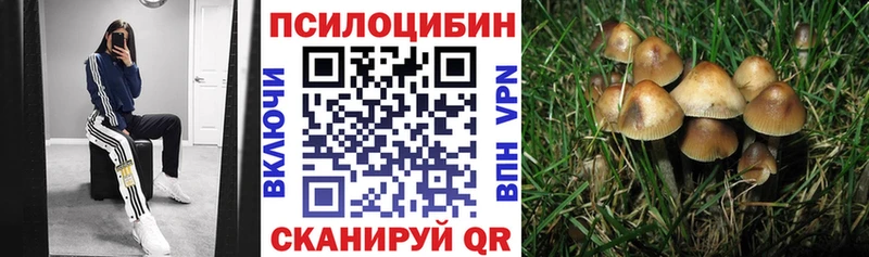 Галлюциногенные грибы MAGIC MUSHROOMS  цена наркотик  Малгобек 